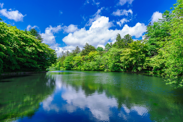 雲場池