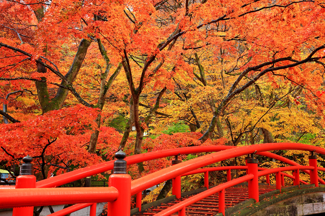 河鹿橋