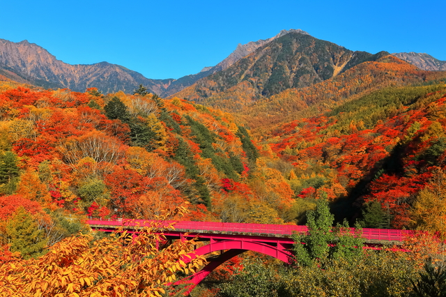 八ヶ岳　秋