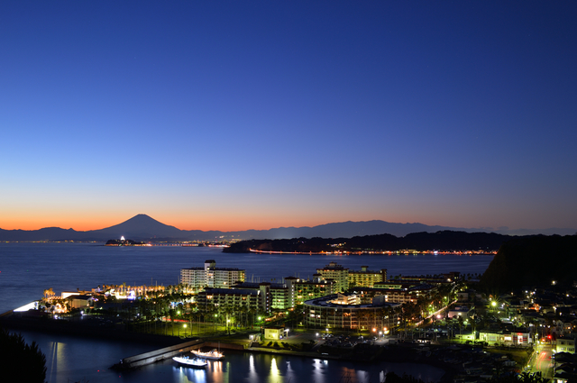 大崎公園　夜景