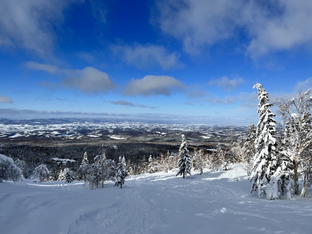 北海道　冬