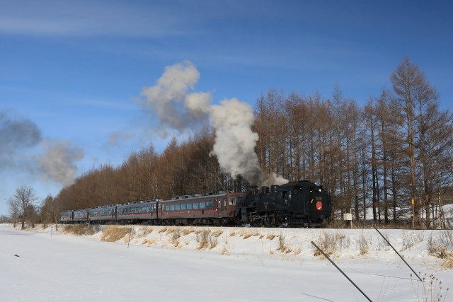 北海道　電車