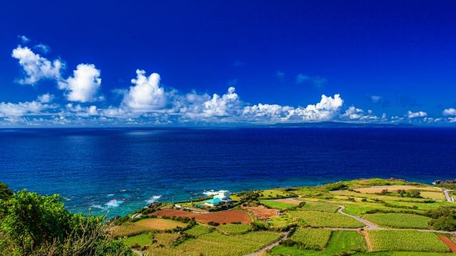 与論島